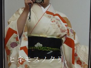 宝尽くしの訪問着